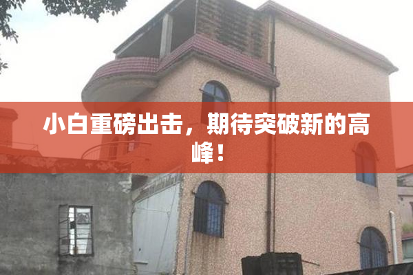 小白重磅出击，期待突破新的高峰！