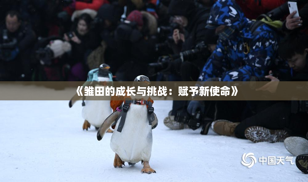 《雏田的成长与挑战：赋予新使命》