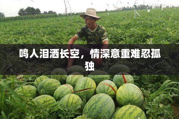 鸣人泪洒长空，情深意重难忍孤独