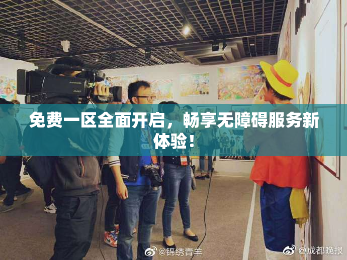 免费一区全面开启，畅享无障碍服务新体验！