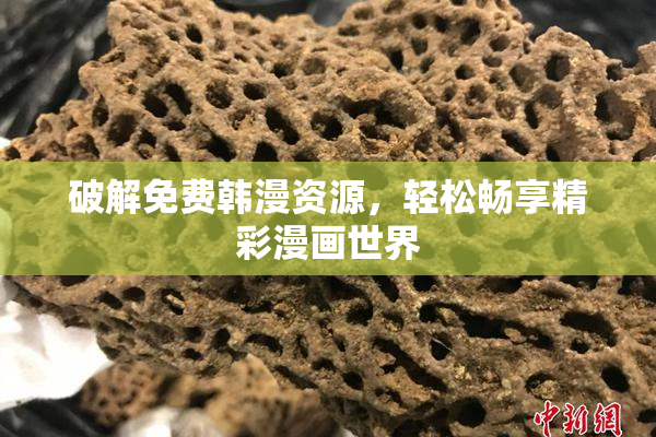 破解免费韩漫资源，轻松畅享精彩漫画世界