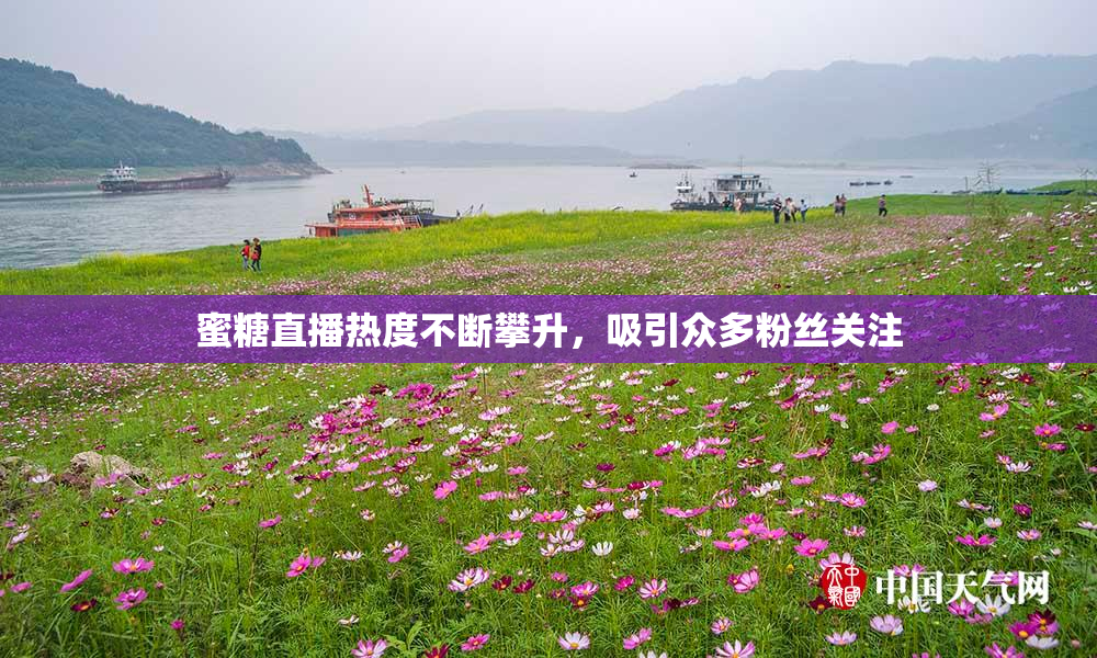 蜜糖直播热度不断攀升，吸引众多粉丝关注