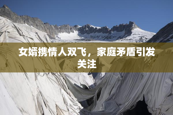 女婿携情人双飞，家庭矛盾引发关注