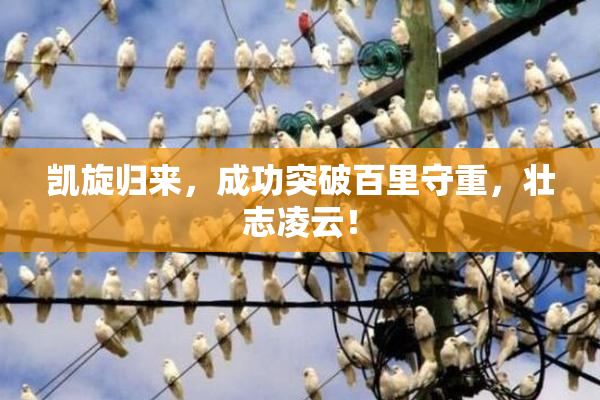 凯旋归来，成功突破百里守重，壮志凌云！