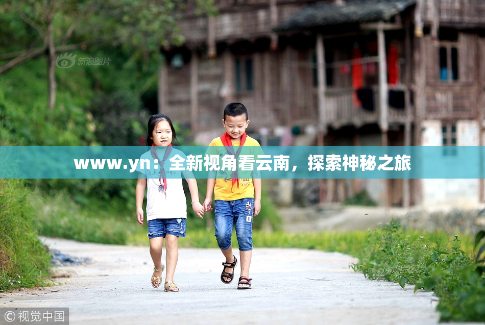 www.yn：全新视角看云南，探索神秘之旅