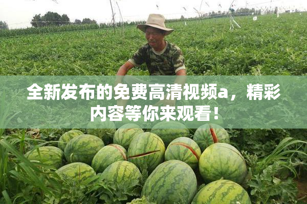 全新发布的免费高清视频a，精彩内容等你来观看！