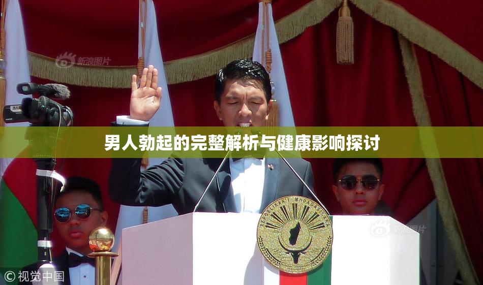男人勃起的完整解析与健康影响探讨