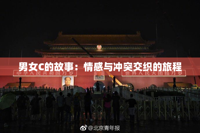 男女C的故事：情感与冲突交织的旅程