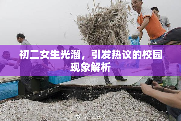 初二女生光溜，引发热议的校园现象解析