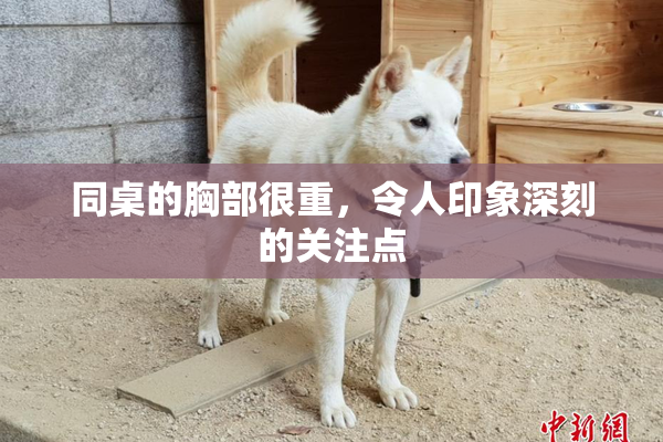 同桌的胸部很重，令人印象深刻的关注点