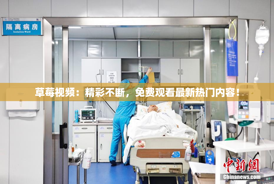 草莓视频：精彩不断，免费观看最新热门内容！