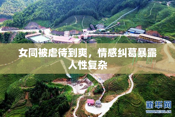 女同被虐待到爽，情感纠葛暴露人性复杂
