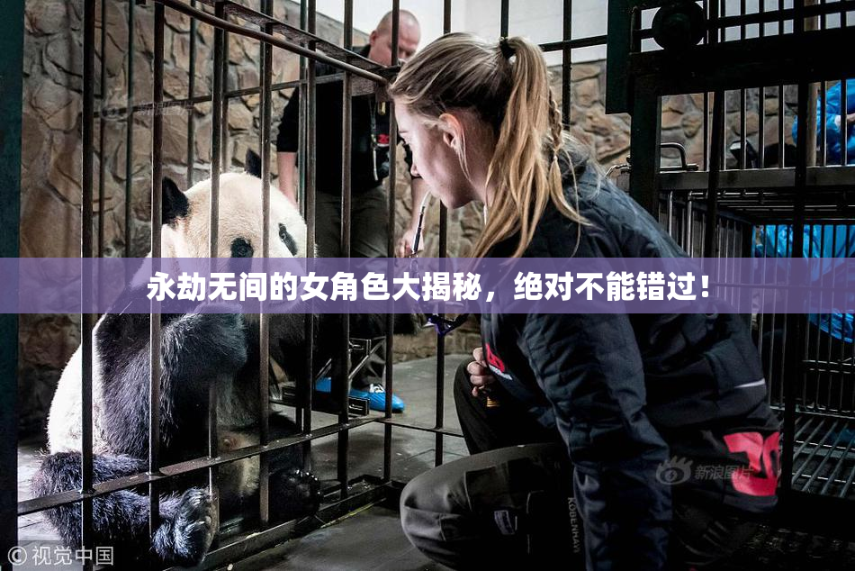 永劫无间的女角色大揭秘，绝对不能错过！