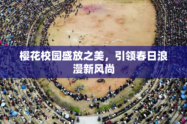 樱花校园盛放之美，引领春日浪漫新风尚