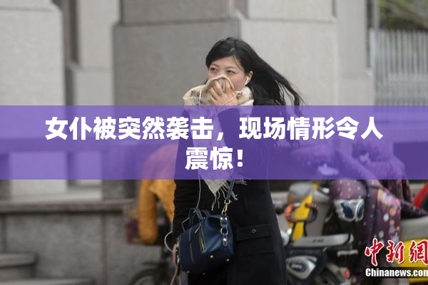 女仆被突然袭击，现场情形令人震惊！