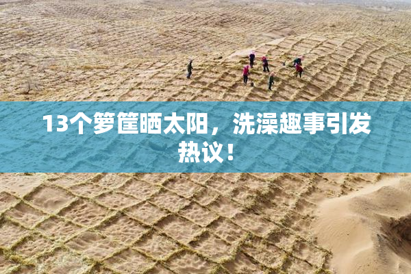 13个箩筐晒太阳，洗澡趣事引发热议！