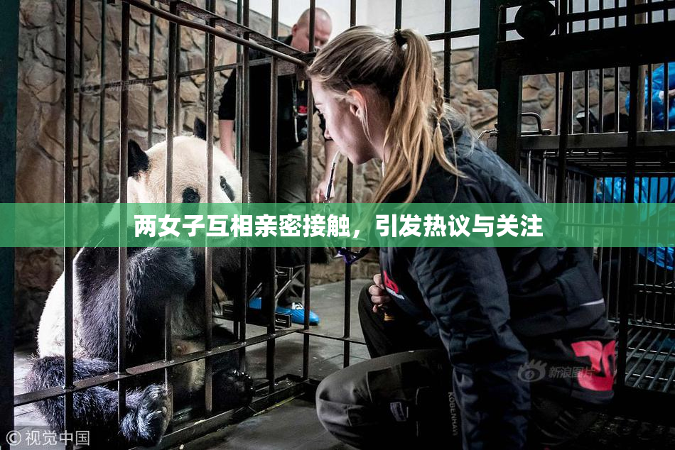 两女子互相亲密接触，引发热议与关注