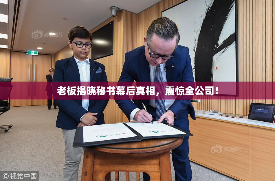 老板揭晓秘书幕后真相，震惊全公司！