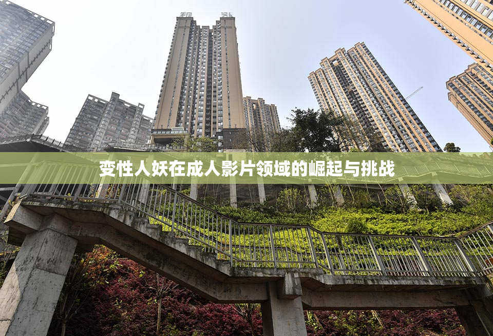 变性人妖在成人影片领域的崛起与挑战