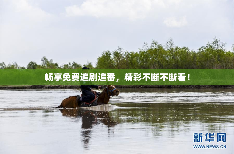 畅享免费追剧追番，精彩不断不断看！