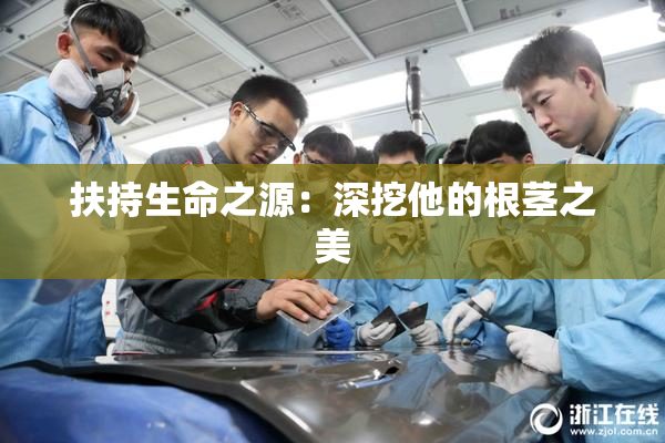 扶持生命之源：深挖他的根茎之美