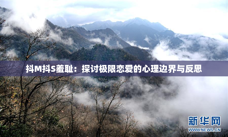 抖M抖S羞耻：探讨极限恋爱的心理边界与反思