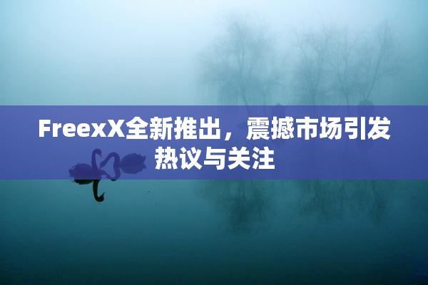 FreexX全新推出，震撼市场引发热议与关注