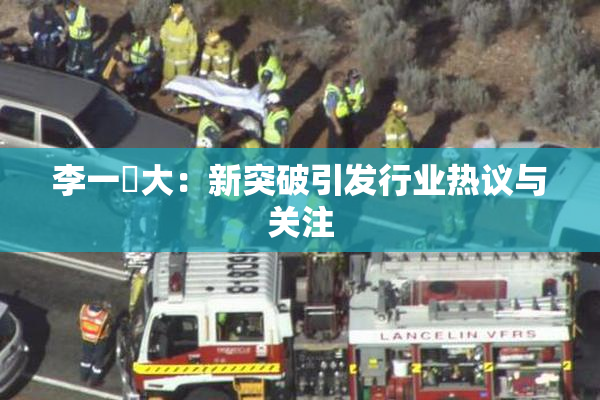 李一挏大：新突破引发行业热议与关注