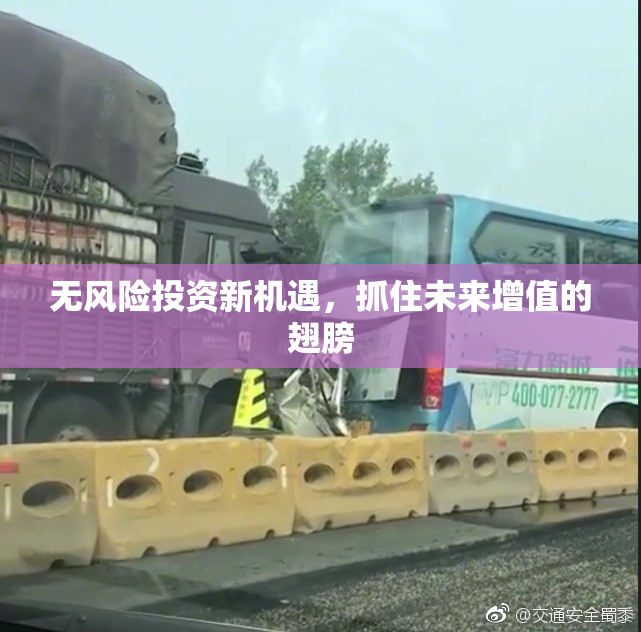无风险投资新机遇，抓住未来增值的翅膀