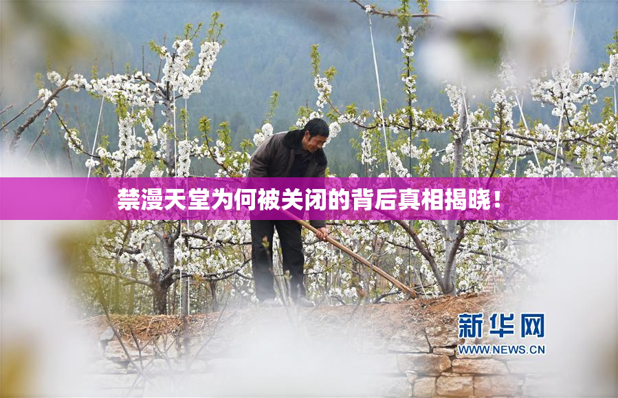 禁漫天堂为何被关闭的背后真相揭晓！
