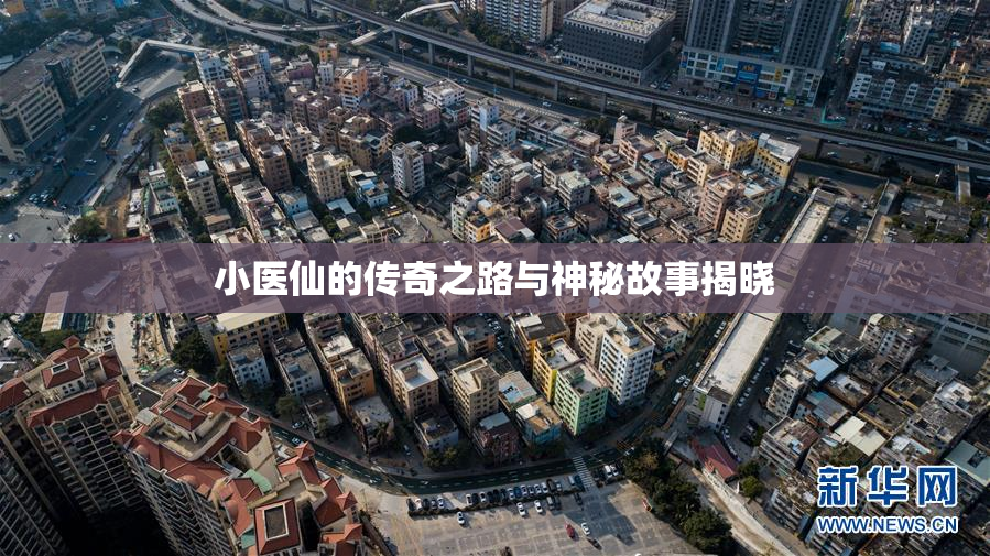 小医仙的传奇之路与神秘故事揭晓