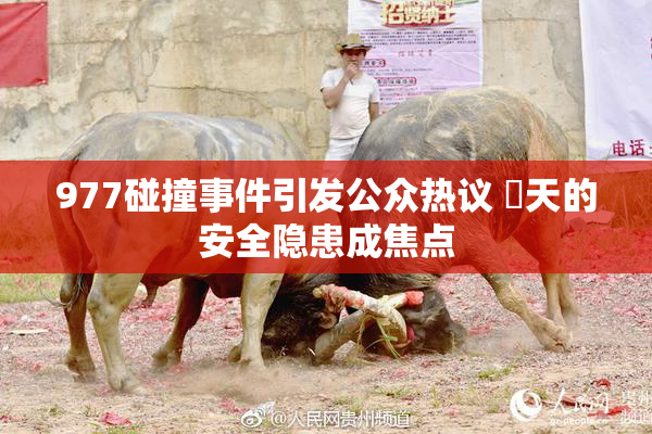 977碰撞事件引发公众热议 當天的安全隐患成焦点