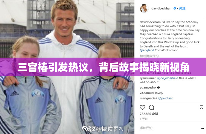 三宫椿引发热议，背后故事揭晓新视角
