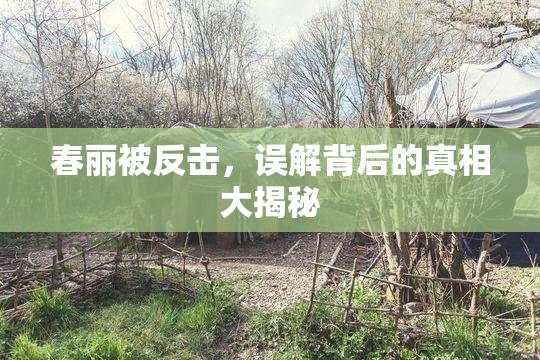 春丽被反击，误解背后的真相大揭秘