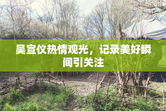 吴宣仪热情观光，记录美好瞬间引关注