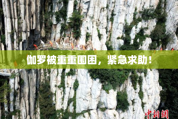 伽罗被重重围困，紧急求助！