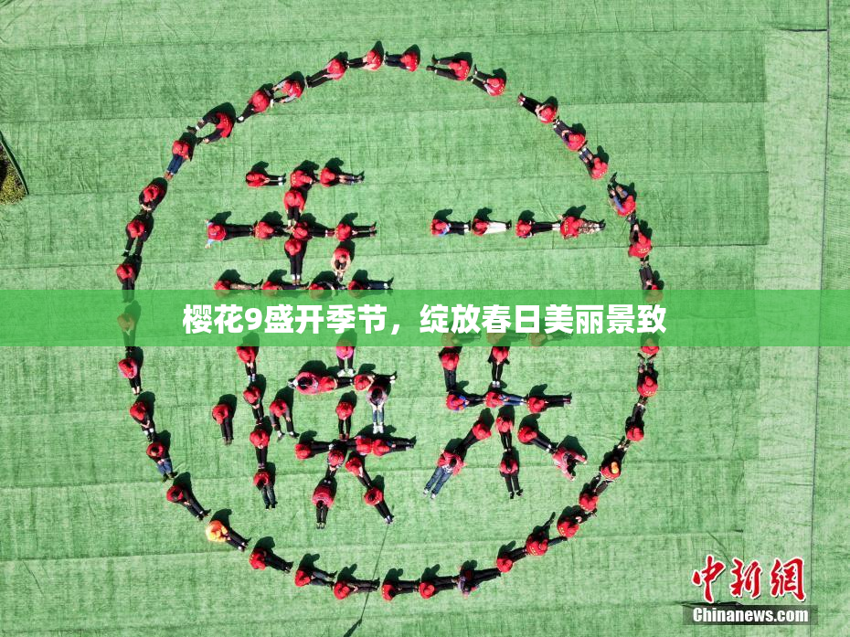 樱花9盛开季节，绽放春日美丽景致