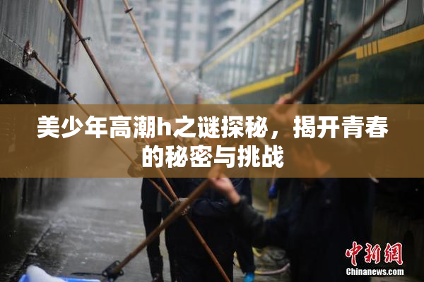 美少年高潮h之谜探秘，揭开青春的秘密与挑战