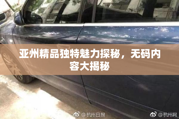 亚州精品独特魅力探秘，无码内容大揭秘