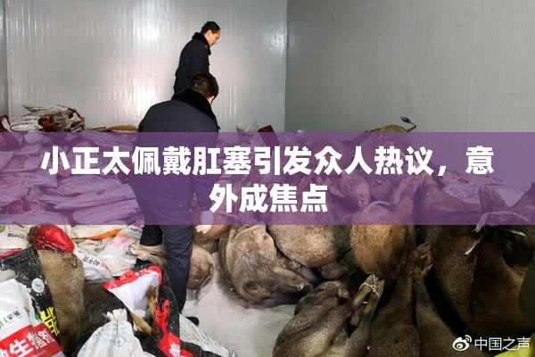 小正太佩戴肛塞引发众人热议，意外成焦点