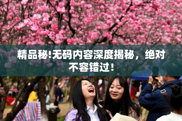 精品秘!无码内容深度揭秘，绝对不容错过！
