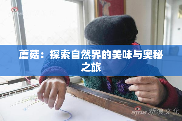 蘑菇：探索自然界的美味与奥秘之旅