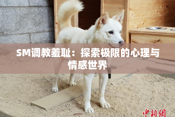 SM调教羞耻：探索极限的心理与情感世界