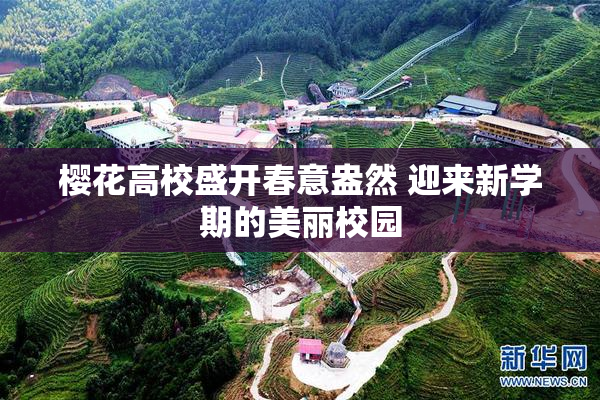 樱花高校盛开春意盎然 迎来新学期的美丽校园