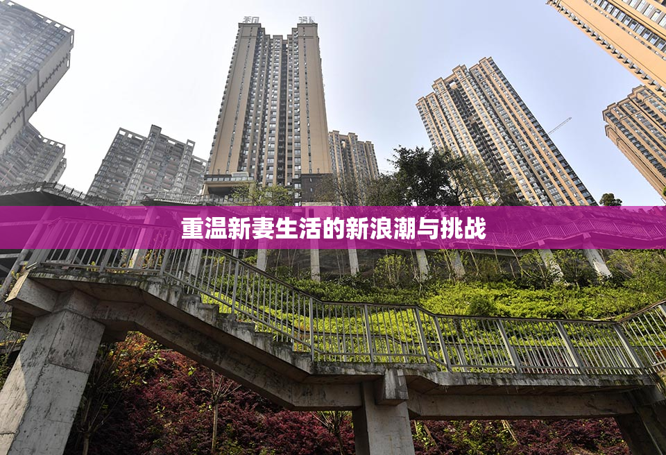 重温新妻生活的新浪潮与挑战
