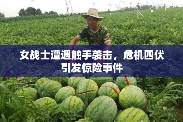 女战士遭遇触手袭击，危机四伏引发惊险事件