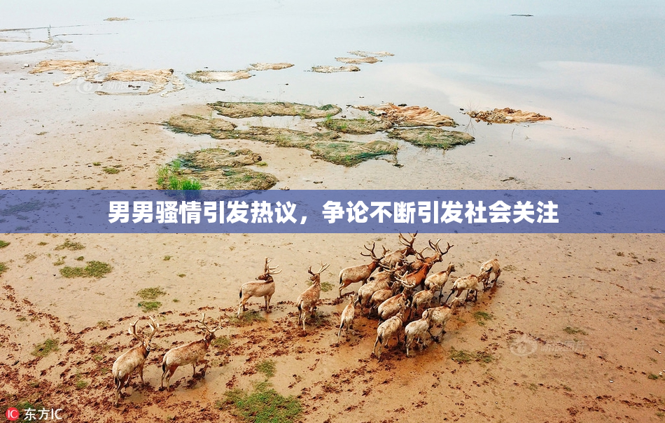男男骚情引发热议，争论不断引发社会关注