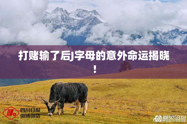 打赌输了后J字母的意外命运揭晓！