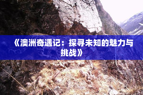 《澳洲奇遇记：探寻未知的魅力与挑战》