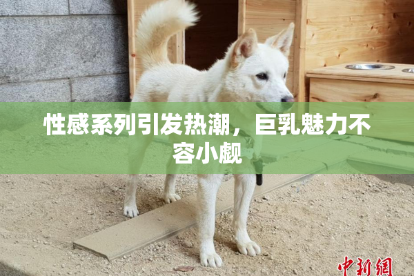 性感系列引发热潮，巨乳魅力不容小觑